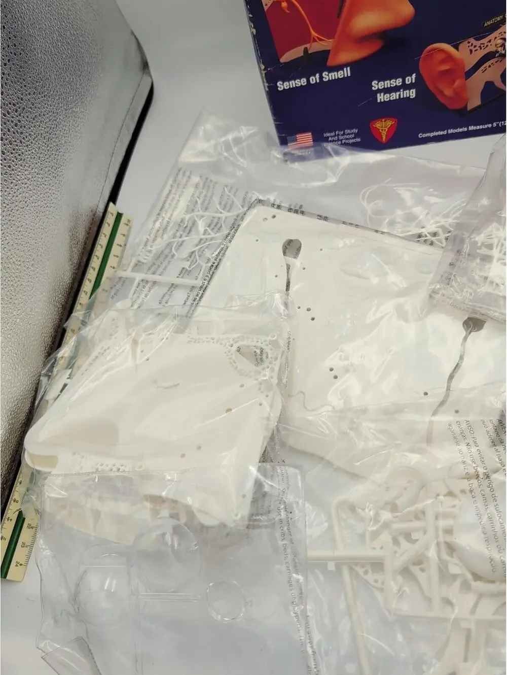 LINDBERG SCIENCE KITS The Five Senses Touch Smell‎ Hearing Sight Taste MODEL KIT